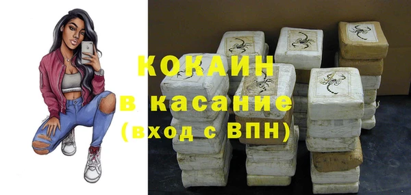 индика Сафоново