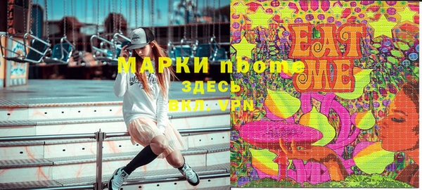 индика Сафоново