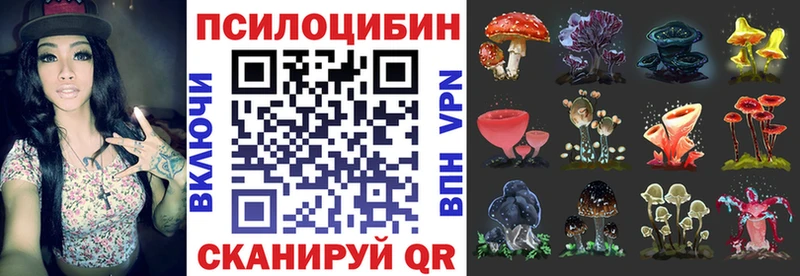 Псилоцибиновые грибы MAGIC MUSHROOMS  продажа наркотиков  Тбилисская 